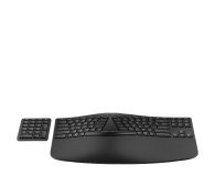 HP 960 Ergonomic - 1505032 - zdjęcie 4